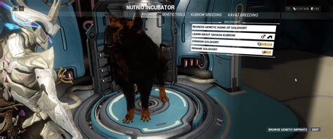 warframe can you buy omega kubrow|Warframe kubrow patterns.